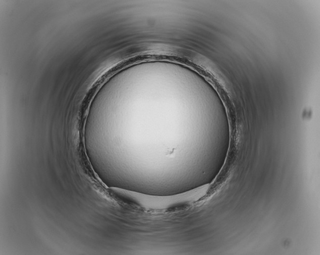X0000096180829200802011340