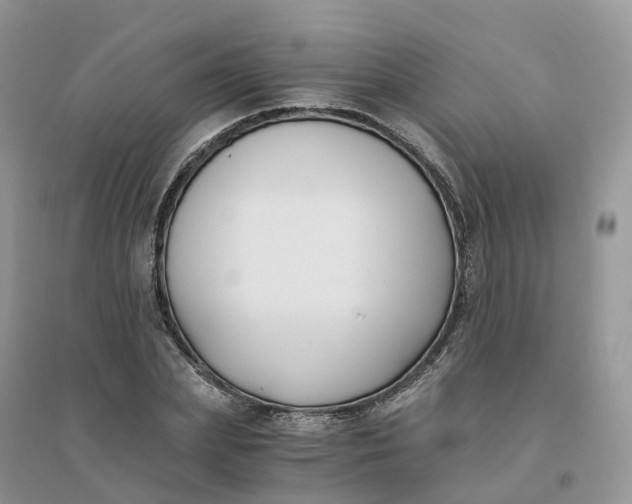 X0000096180831200802011340