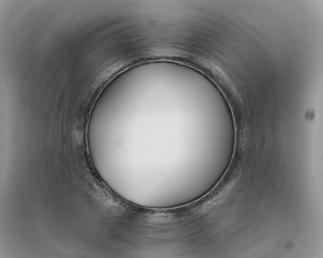 X0000096180833200802011340