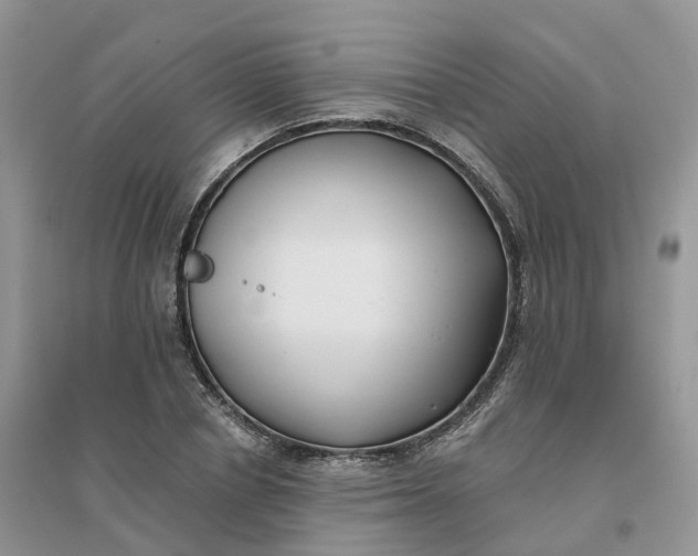 X0000096180834200802011340