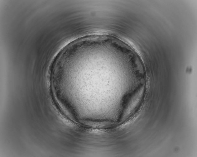 X0000096180835200802011340
