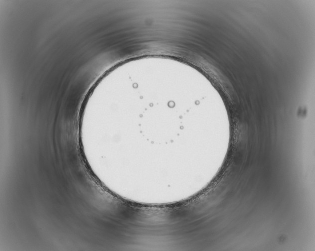 X0000096180836200802011340