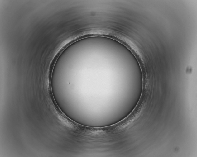 X0000096180837200802011340