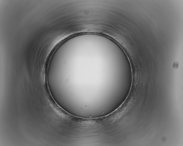 X0000096180838200802011340