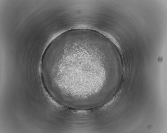 X0000096180839200802011340