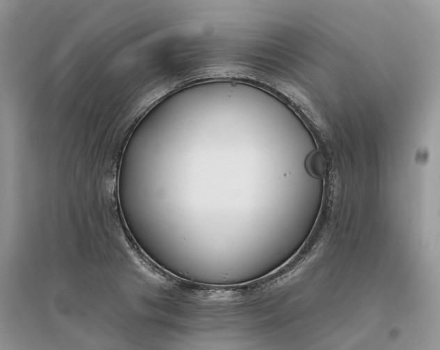 X0000096180841200802011340