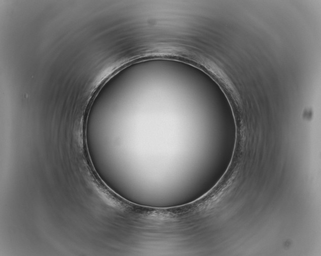 X0000096180842200802011340