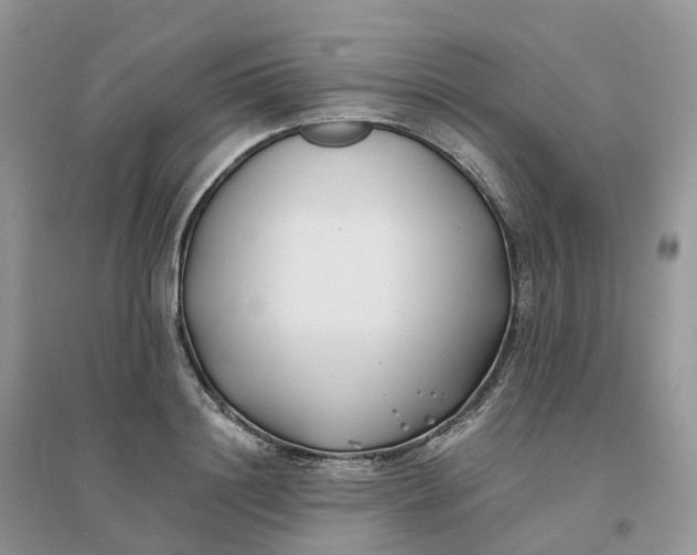 X0000096180844200802011340