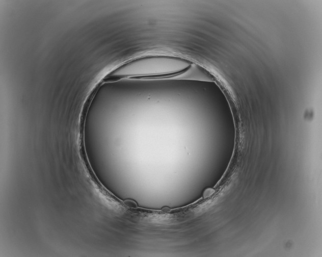 X0000096180845200802011340