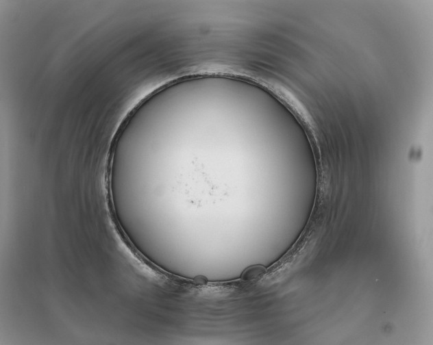 X0000096180847200802011340