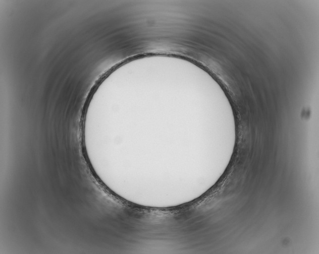 X0000096180848200802011340