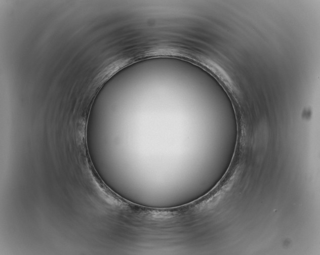 X0000096180849200802011340