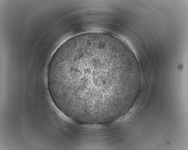 X0000096180851200802011340