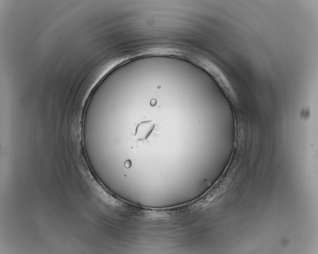 X0000096180852200802011340