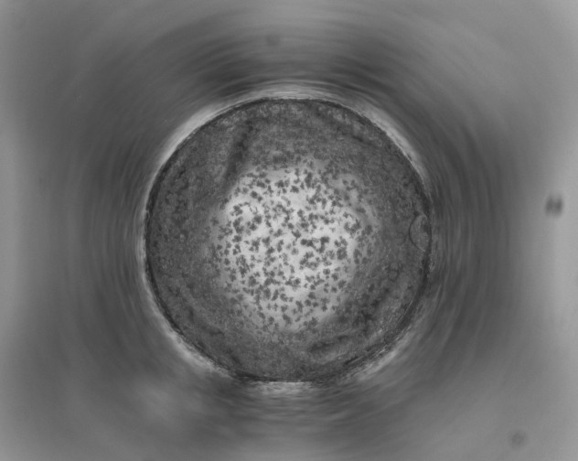 X0000096180853200802011340