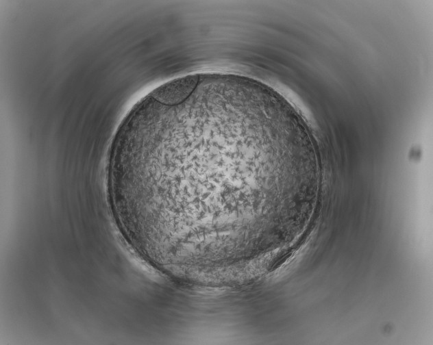 X0000096180854200802011340