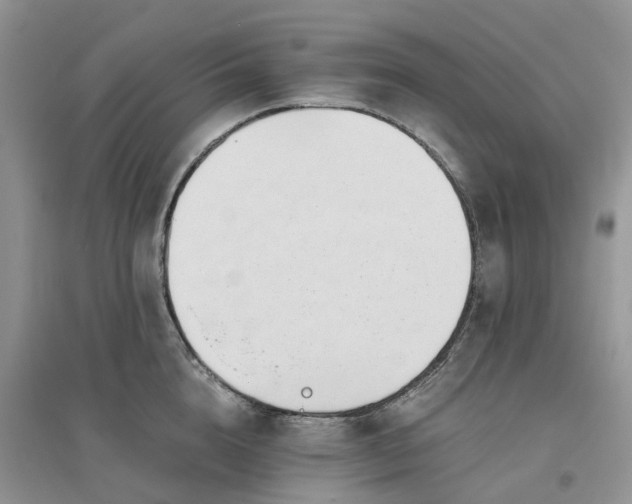 X0000096180856200802011340