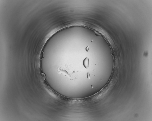X0000096180858200802011340