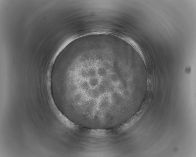 X0000096180859200802011341