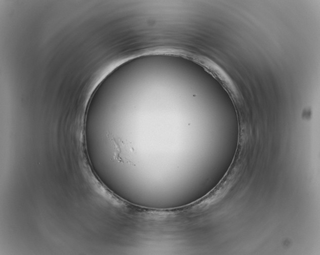 X0000096180860200802011341
