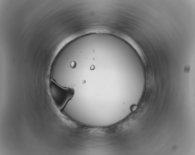 X0000096180861200802011341