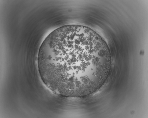 X0000096180863200802011341
