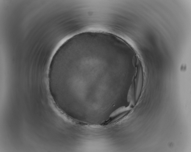 X0000096180864200802011341