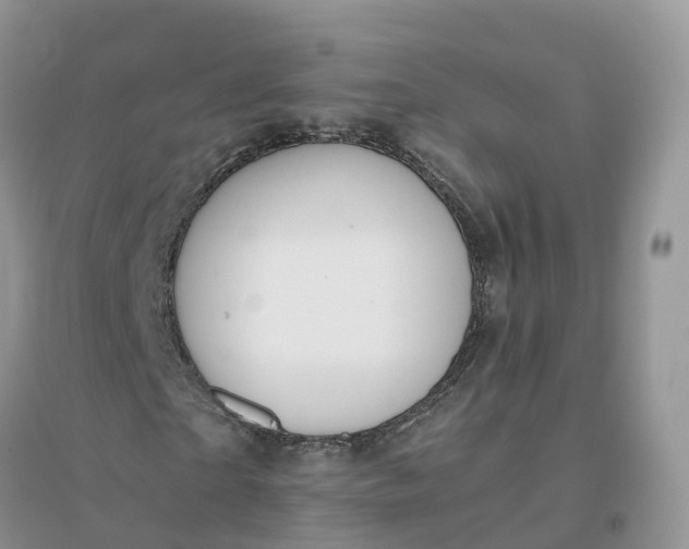 X0000096180865200802011340