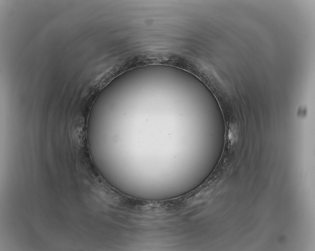X0000096180867200802011340