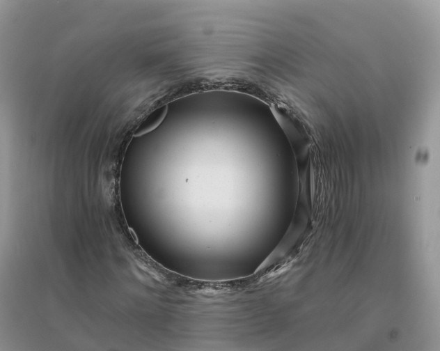 X0000096180868200802011340