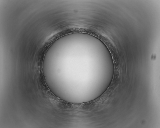 X0000096180870200802011340