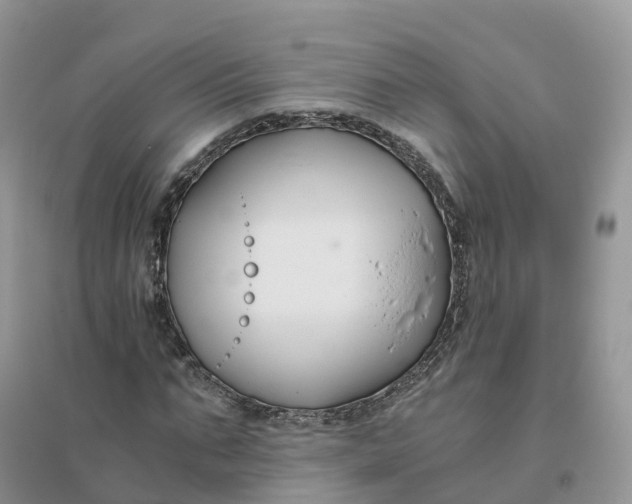 X0000096180871200802011340