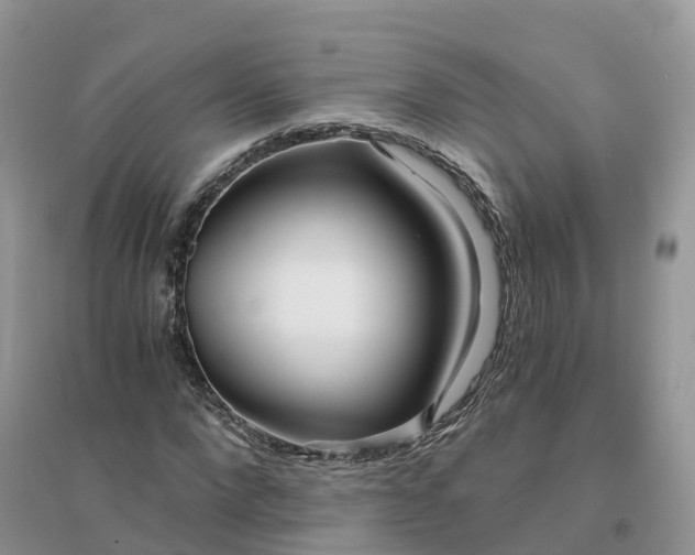 X0000096180872200802011340