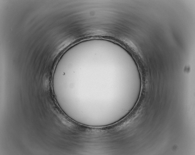 X0000096180873200802011340