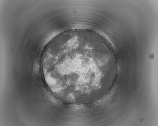 X0000096180874200802011340