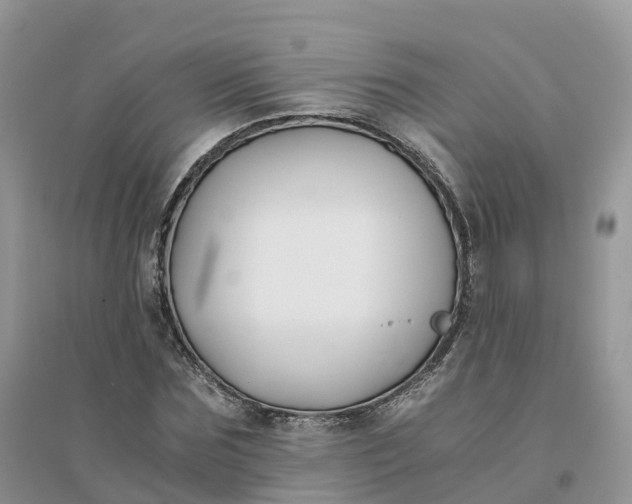 X0000096180875200802011340