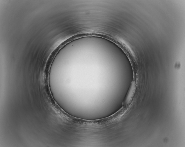 X0000096180876200802011340