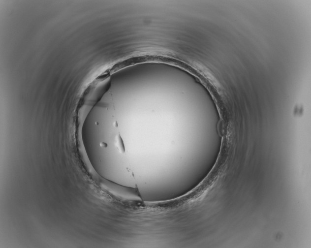 X0000096180877200802011340