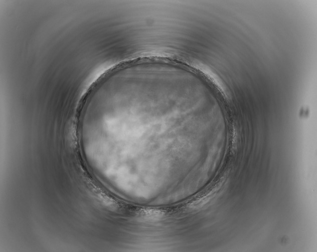 X0000096180878200802011340