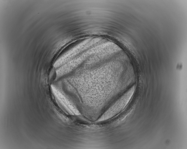 X0000096180881200802011339
