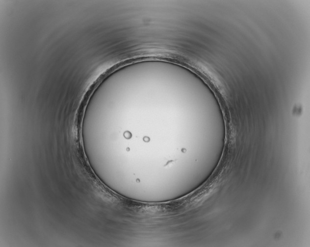 X0000096180883200802011339