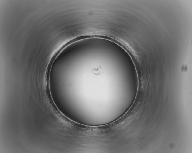 X0000096180885200802011339
