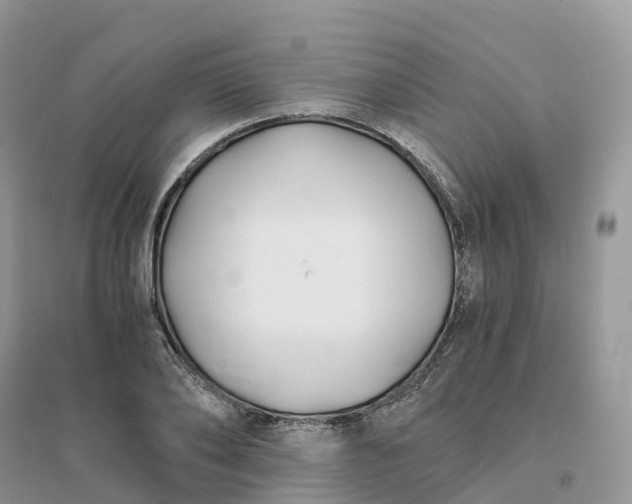 X0000096180886200802011339