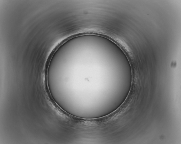 X0000096180888200802011339