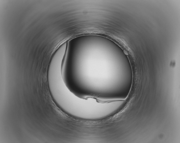 X0000096180889200802011339