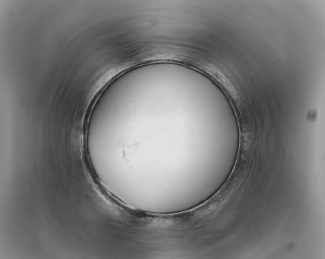 X0000096180890200802011339