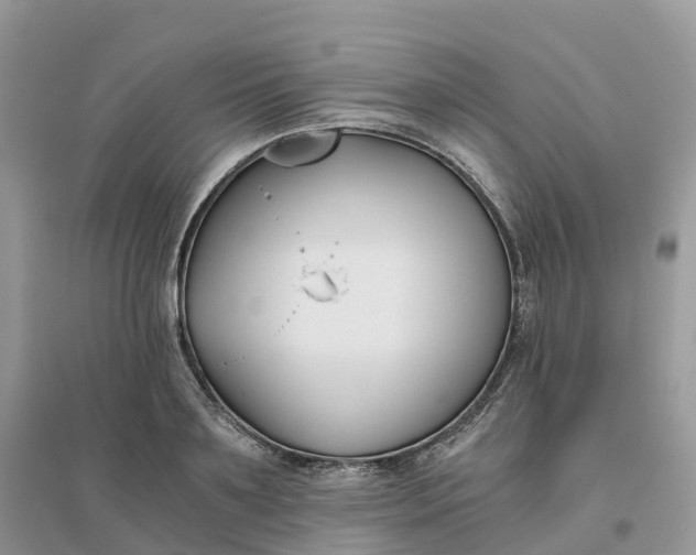 X0000096180891200802011339