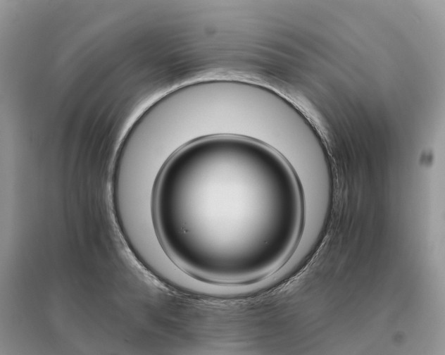 X0000096180896200802011339