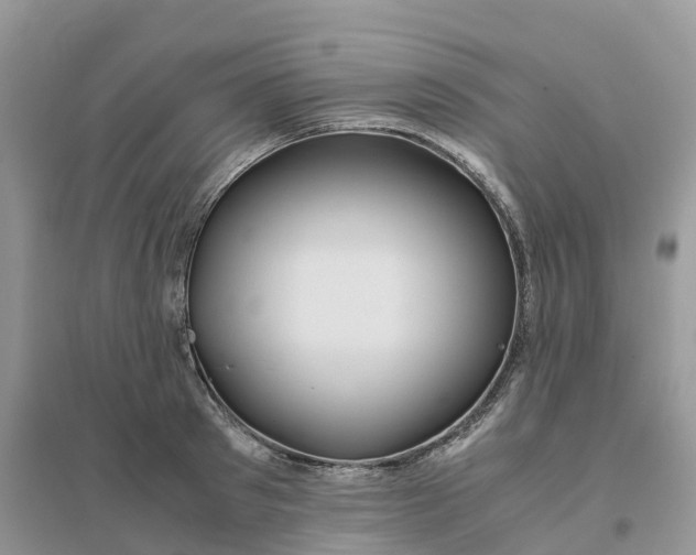 X0000096180897200802011339