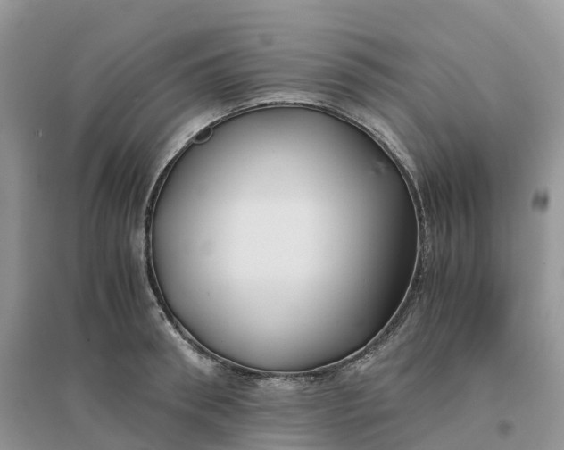 X0000096180898200802011339